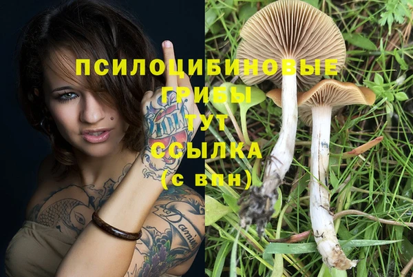 кокаин премиум Арсеньев