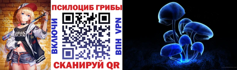 закладка  Пучеж  Псилоцибиновые грибы GOLDEN TEACHER 